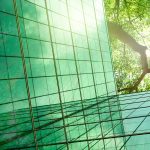 flow and sustainability
