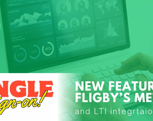 New features in FLIGBY’s Gameplay Assessment Application