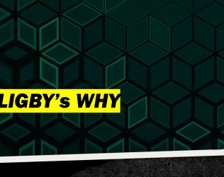 Why-How-What: Defining FLIGBY’s Mission