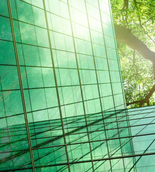 Flow and Sustainability