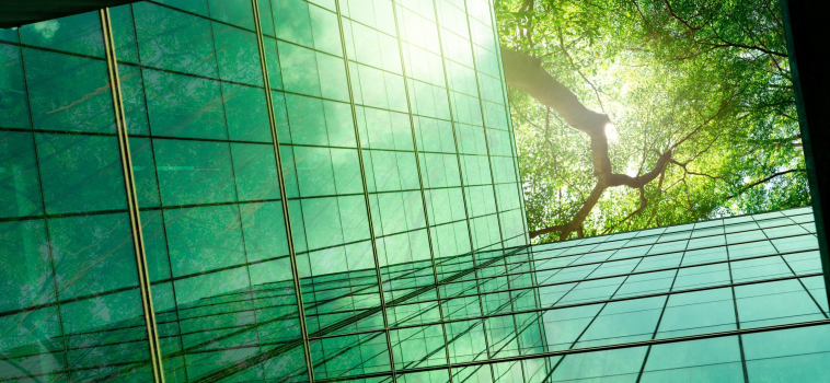 Flow and Sustainability