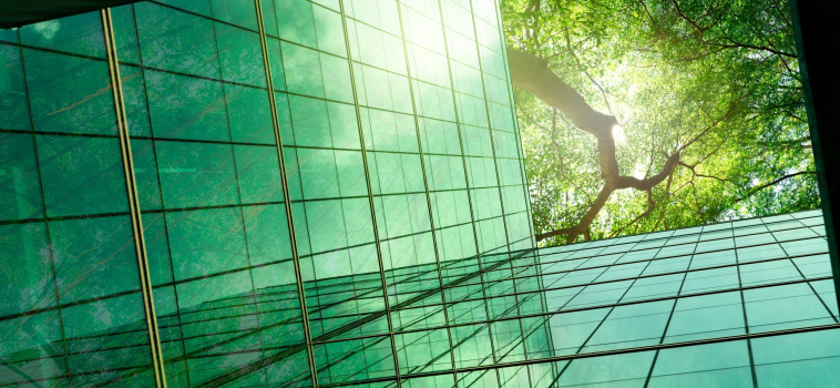 Flow and Sustainability