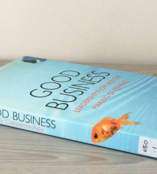 Csikszentmihalyi’s Good Business – Flow and Leadership